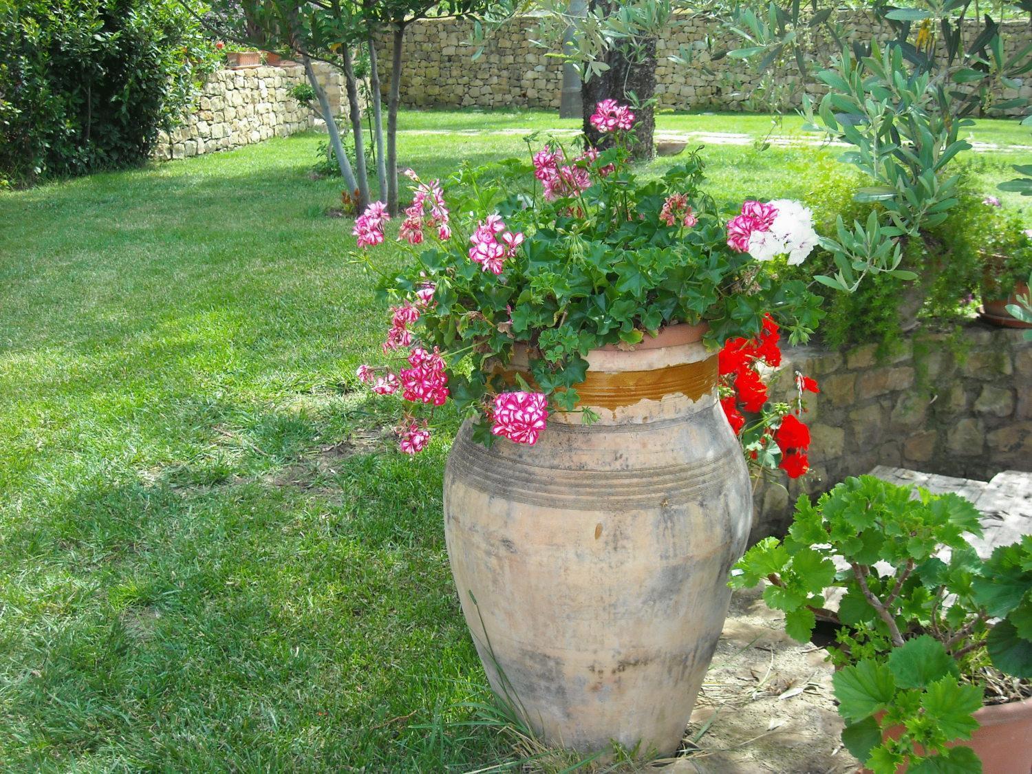 Agriturismo Villa Luca SantʼAgata di Militello エクステリア 写真