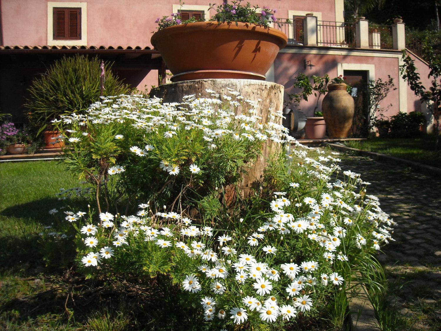 Agriturismo Villa Luca SantʼAgata di Militello エクステリア 写真